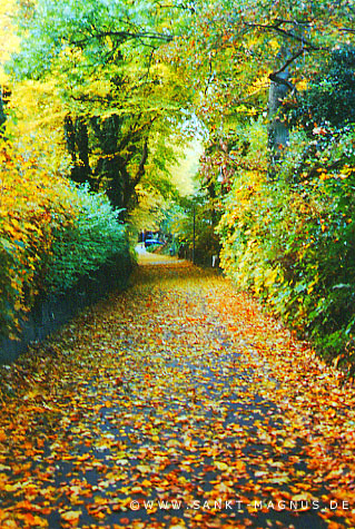 Herbst%20am%20Kapellenberg.jpg